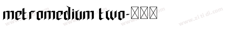 metromedium two字体转换